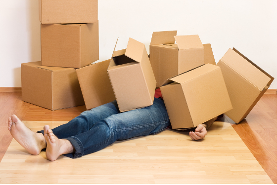 cartons appartement